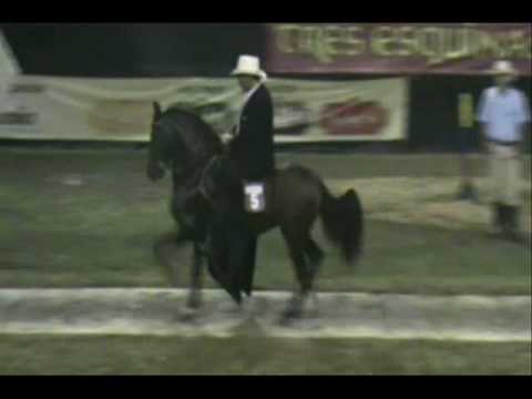 limoncillo hijo del limon