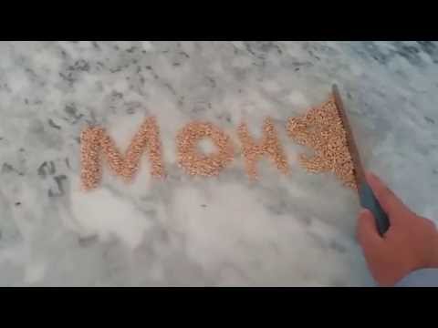 Magical Mohsin Name Rever