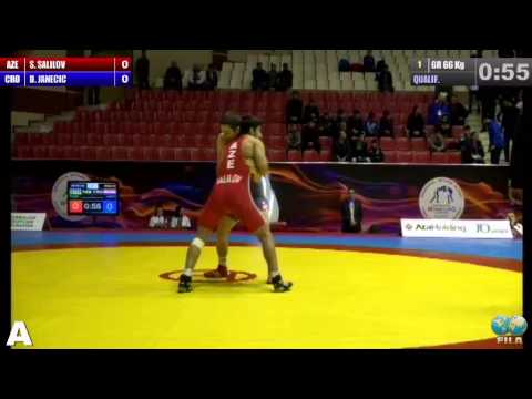 GGP2013 / CALILOV Sakit (AZE) - JANECIC Danijel (CRO) - GR 66 kg