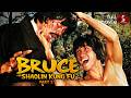 Bruce And Shaolin Kung Fu 2 MARTIAL ARTS ACTION Full Movie