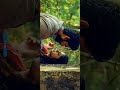 Tamil Melody Whatsapp Song Status Thnana Vantha Santhaname Song Status Rs Editz Full Screen