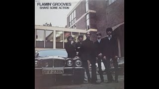 1976 - Flamin' Groovies  - I saw her
