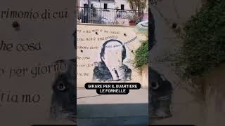 Salerno: cosa vedere in mezza giornata