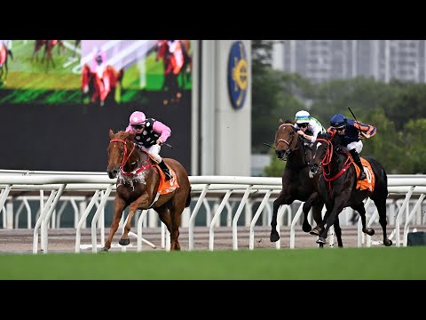 ウイルスミス　ゴールドジャージ　ワールドチャンピオン　来場者限定　新品 ウイルスミス ゴールドジャージ ワールドチャンピオン 来場者限定 新品