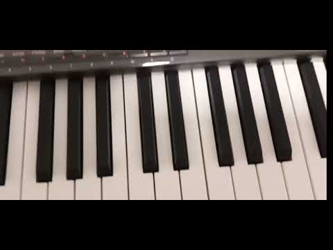 KORG PA 4X 76 KEYS ORIENTAT AND BAG - Image 2