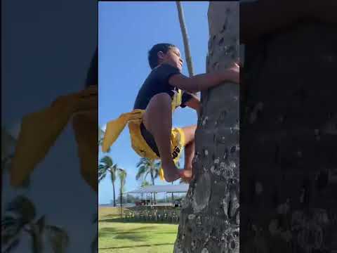 Easiest way to climb a COCONUT TREE!