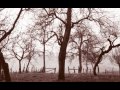 Antony and the Johnsons - The spirit was gone