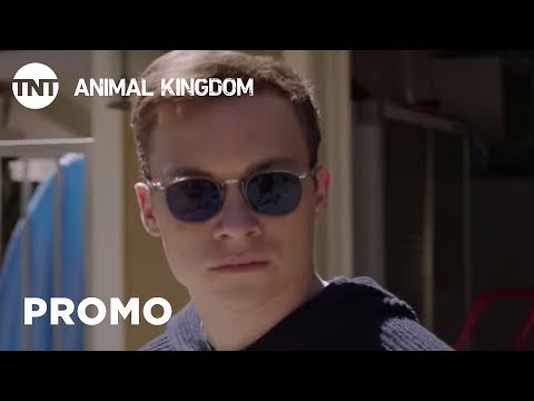 Animal Kingdom: Low Man - Season 3, Ep. 7 [PROMO] | TNT