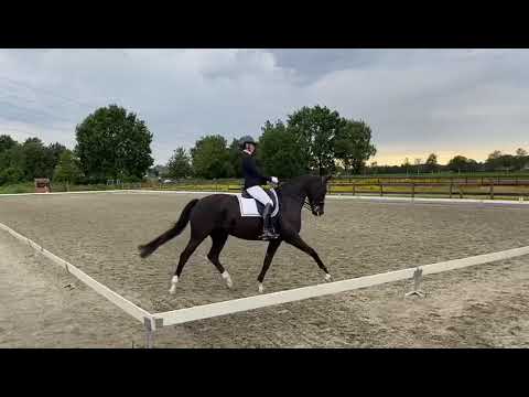 Ibiza - Desperado x Painted Black - Z2