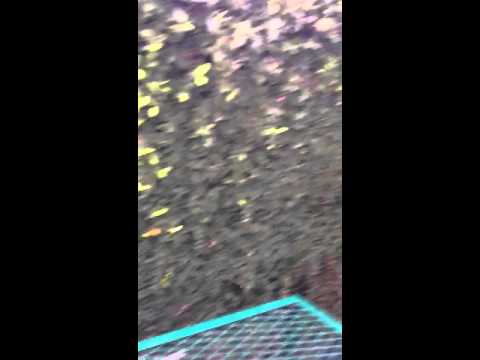 Ingenious Lock Cache