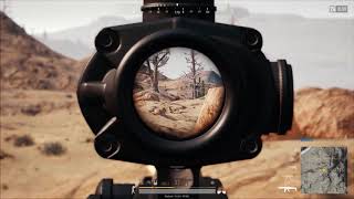 Great Run Wigged out on Meds!