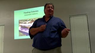 Beginning Beekeeping Presentation Pt 4 of 5