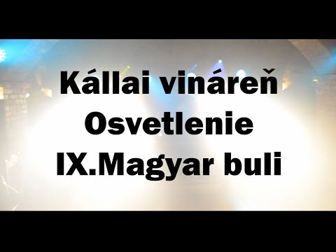 Kállai vináreň - Osvetlenie IX. Magyar buli Via Nova ICS Fiľakovo