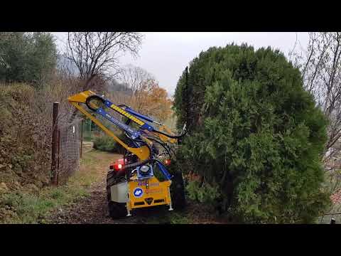 Marolin TRIMMY EVO PRO - Serie Garden