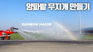 트랙터 양파 2차 방제 - 소소한 장단점 (금용 살포기)