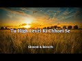 Tu High Level Ki Chhori Se Slowed Reverb Lo Fi Version Download Link In Description