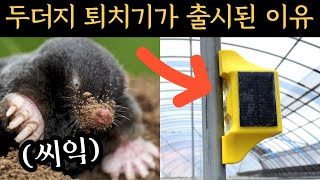 두더지 퇴치기가 출시된 이유는? 지키고 비닐하우스 두더지 퇴치