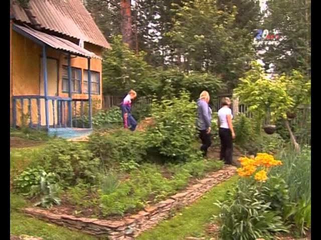 Неприхотливые растения – лучшее украшение дачи