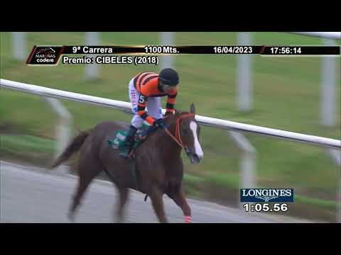 230416 c09 SRA. SUERTE