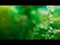 Instrumental Background Music - relaxdaily B-Sides ...