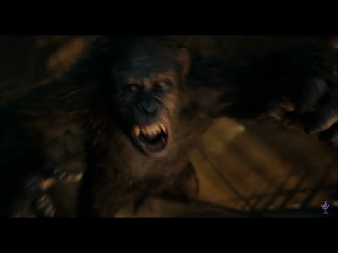 Caeser kills Koba Dawn of the Planet of the Apes