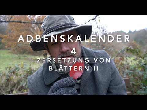 AdBensCalendar 4-2021: How do small animals and microorganisms decompose leaves? (Part 2/2)