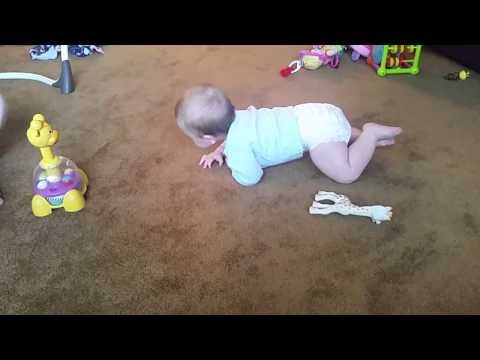 Marissa learning to crawl