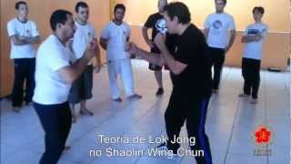 preview picture of video 'Teoria Lok Jong no Shaolin Wing Chun'