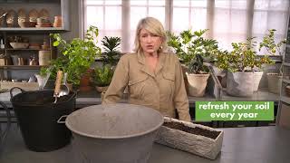 Miracle-Gro ASK MARTHA: Is This Soil Okay?