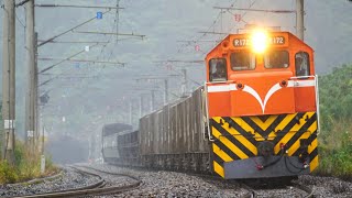7403次 長編貨列 粉車黑白蛇22節 南澳南記錄