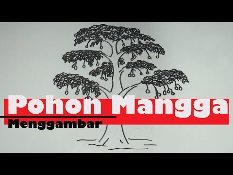 Obat di apotek untuk meningkatkan potensi Hemp berguna untuk potensi