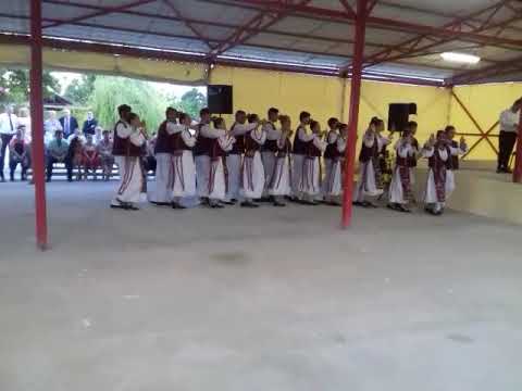 Ruga Giulvăz 2019 Florile Giulvăzului mari