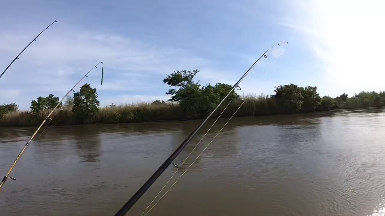 Lots of fishing rods with line in the watrer