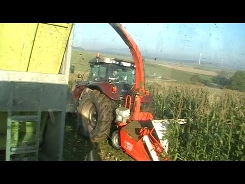 Steyr CVT 6195 + Kemper Maisgebiss