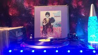 Donovan - The Mandolin Man and His Secret