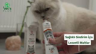 Vet's Plus ile Sağlıklı ve Mutlu Patiler