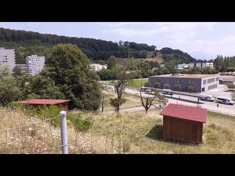 Puidoux / 16.07.2023