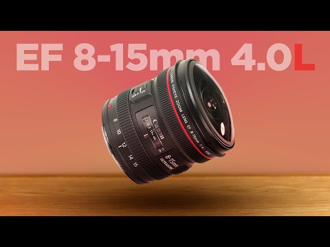 Video thumbnail for Video Review 3