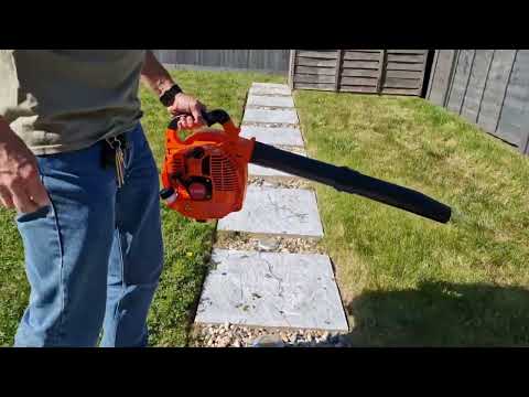 Ebay Leaf Blower