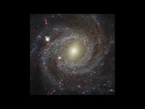 2025 June 08 - Facing NGC 3344