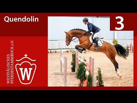 03 Quendolin Hengst v. Quipeggio - Barring