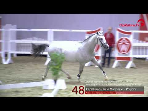 48 Junghengst v. Capistrano - Julio Mariner xx