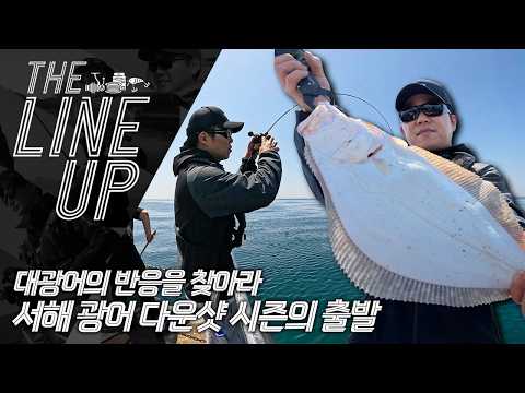 [더라인업] 대광어의 반응을 찾아라! 서해 광어 다운...