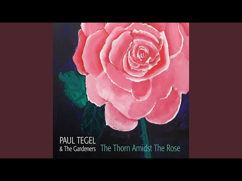 The Thorn Amidst the Rose