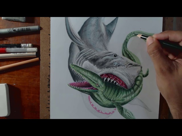How To Draw A Megalodon