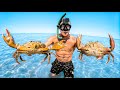 Island Survival Only Using My Bare Hands To Catch Food