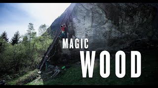 preview picture of video 'Red Chili Journey Series - Magic Wood'