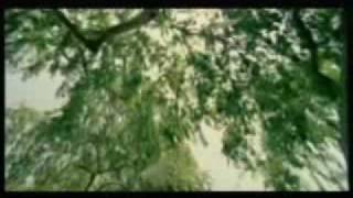 huecco - mirando al cielo (2008) videoclip oficial (assalto).flv