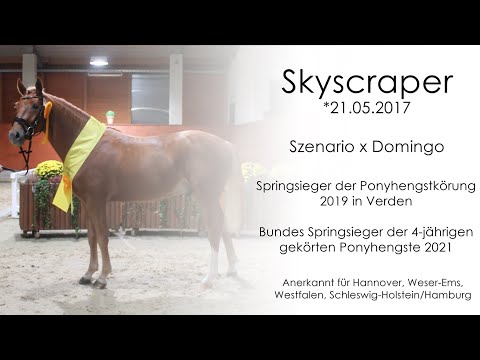 Verkaufspony Skyscraper | *2017 | Szenario PAV x Domingo