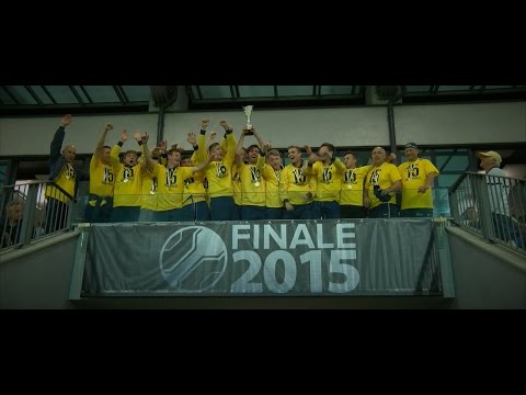 POKAL SLOVENIJE, FINALE 2015: NK Aluminij - NK Domžale